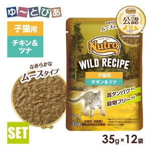 FX j[g Lbg ChVs qLp `Lci Ȃ߂炩ȃ[X^Cv pE` 35g×12 ͂  yChVs(WILD RECIPE)z[Lbgt[h]