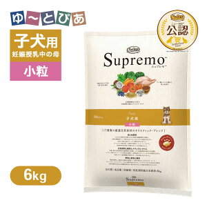 FX j[g Vv qp  6kg ͂  yVv(Supremo)z[hbOt[h]