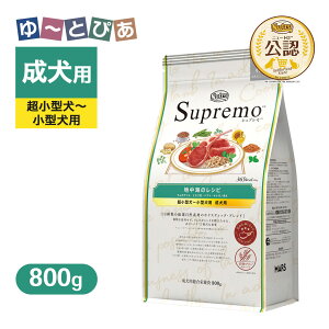  FX j[g Vv ^`^p p nC̃Vs  800g ͂  yVv(Supremo)z[hbOt[h]