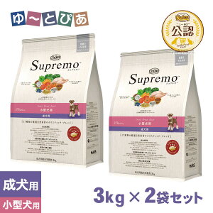 FX j[gEVv ^p p X[u[hA_g  3kg×2Zbg ͂  yVv(Supremo)z[hbOt[h]