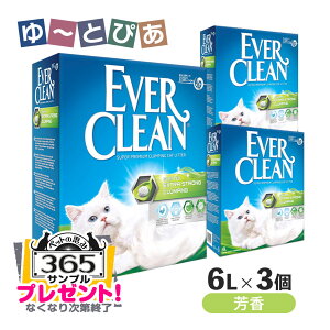 ybgb365܂tbGo[N[  F ח 6L×3Zbg  gC  zn xgiCg (KAi)yEVER CLEAN)z[L]