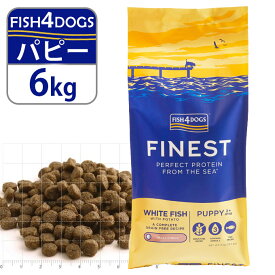 フィッシュ4ドッグ FISH4DOGS ドッグフード コンプリートフード パピー（子犬用） 6kg ■ 魚 子犬用 幼犬用 穀物不使用 グレインフリー
