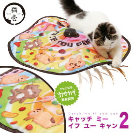 猫壱 キャッチ・ミー・イフ・ユー・キャン2 ■ 猫用 おもちゃ ペット グッズ 用品 オモチャ 玩具【あす楽対応】