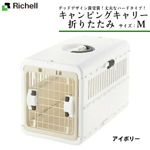 b`F LsOL[ ܂肽 M  L[obO ^pL[obO LpL[obO 22gout