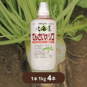 IS I kCĂ񂳂IS 1kg x4