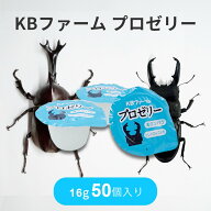 【エントリーでP5倍 4日20時~】プロゼリー 16g 50個 昆虫ゼリー KBファーム バナナ風味 高タンパク質 カ…