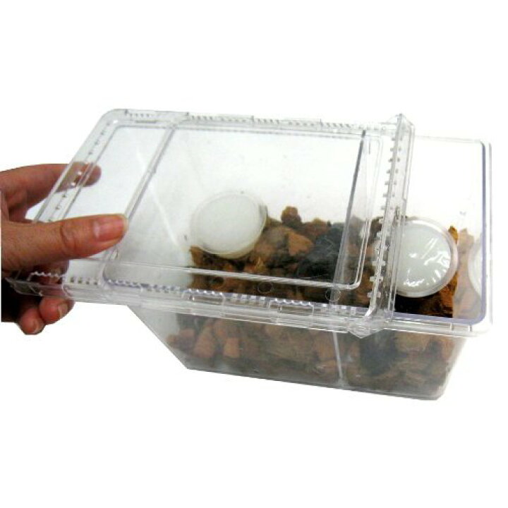 楽天市場】昆虫飼育 カブトムシ クワガタ まとめ買い セット クリア 