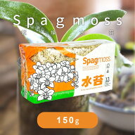 【エントリーでP7倍 9日20時~】水苔 乾燥水苔 ニュージーランド産 150g ミズゴケ みずごけ 洋蘭 胡蝶蘭 …