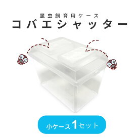 コバエシャッター 小 （230×153×173mm） プラケース 虫かご 飼育容器 昆虫 カブトムシ クワガタ