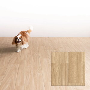 { ybgΉ ~ȒP NbVtA ȒPݒu DIY ؖڒ Zp zCg OCbV i`  O[W lC NbVV[g  tH[ 6 8 10 12