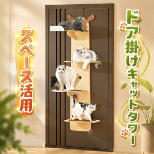 �V�����L�O���i�I�h�A�|���L���b�g�^���[�ؐ��L�p�i�݂艺���܂Ƃ��t���ȃX�y�[�X4�i���ݑ�^���s������������������150cm�������t���X�y�[�X���p