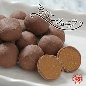 ~yȂVR 12zŕۉ ˍR  Ȃ `R[g َq  yY Mtg o^C H꒼