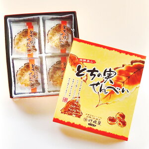 yƂׂ̎ 20zMtgɂ҂I  ˍR̍΂ĊÂĐ݂ł