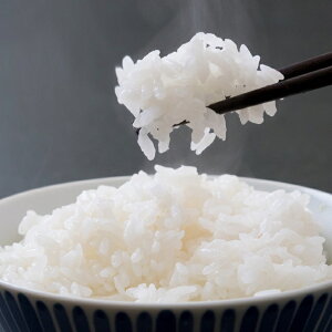 ߘa7NYEV cY RVqJ ʐ 5kg 10kg 15kg 20kg 25kg c cs