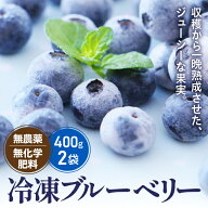 あぶくま高原 冷凍ブルーベリー 国産/無農薬/無化学肥料/EM栽培 わたなべグリーンファーム 冷凍フルーツ …
