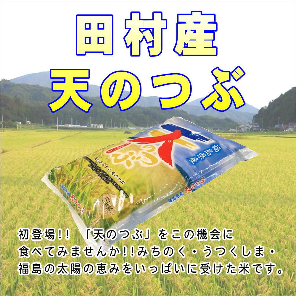 価格天のつぶ 普通精米 10kg (5kgx2袋) 福島県 田村市 送料込 食品