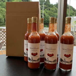 WONDER RED500g 6�{�� ������p �������S�n��