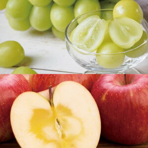 y\tzؑ񂽂̂񂲁EVC}XJbgy50 z