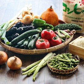 貝ミネラル栽培社米コシヒカリと季節の野菜果物セット旬食福来 令和7年産 旬 野菜 詰合せ 福島 福島県産 新鮮 石安米肥店送料込み