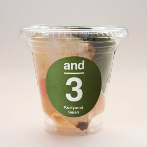 and3 ݂ 12Zbg  yY yY ӂ  SRs