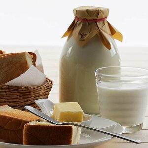 Eo^[Zbgi500ml×2E100gjy͂wszy3jz t@[΂  yY yY Mtg p j  Ε