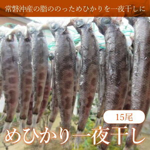 �߂Ђ����銱��15���i5��×3�j ������Дn�ڏ��X ���q�J�� ���� ���Z �ȒP���� ���蕨 ���y�Y �������� ��ւ���