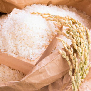 yߘa7NYzؑ񂽂̃RVqJ 5kg Y V   yY yY Mtg i  Ε ̓ ̓ j