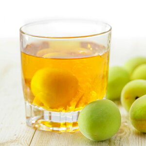 yzᏬ  ~  Ε Mtg i ӂ  nӎ𑢖{X