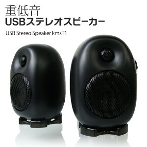 dቹ USB Xs[J[ XeIXs[J[ - p\R , iPod , iPhone , MP3ȂǑΉ -