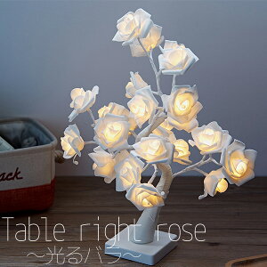 LED  o KN CeACg t[Cg dF zCg^sN USBd^dr USBA_v^[t R[hX ^C}[@\ e[uCg v 킢 Ɩ CeA