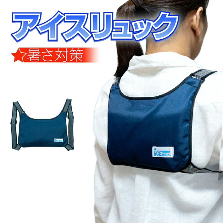 楽天市場】アイスリュック ヨコ型 [ 001 ] 縦18.5cm×横25cm 紺色 保冷 
