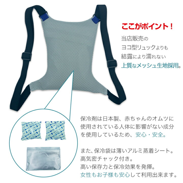 楽天市場】アイスリュック タテ型 [ 014 ] 縦20cm×横14.5cm 青色 保冷 