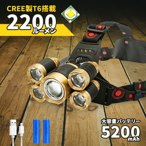 LED wbhCg ŋ 2200[ [d eʃobe[t Y[@\ h 邢 Px LEDCg ނ oR AEghA TCNO hЃObY y wbhv Ɠ [N