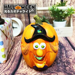 ハロウィン 飾り かぼちゃ カボチャ 魔女 光る LEDライト 置物 南瓜 お化け ハロウィン飾り かぼちゃ 骸骨 ドクロ パーティーグッズ