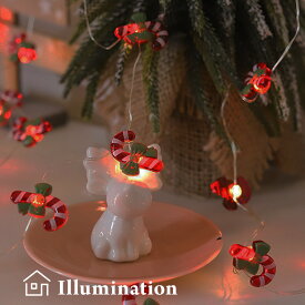 クリスマス飾り 電飾 イルミネーション ライト オーナメント ガーランド ステッキ 杖 30球 電池式 かわいい 電飾 デコレーションライト 装飾 飾り付け