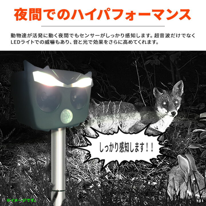 猫よけ 超音波動物撃退器 猫よけ対策 超音波 スズメ撃退 ネズミ 超音波 コウモリよけ対策 鳩よけ対策 糞被害対策 ソーラー Usb充電 4500mah電池 Dwquzhuqi07 11o Clock 通販 超音波猫リペラー 動物忌避可聴および視覚アラーム そう Ciudaddelmaizslp Gob Mx