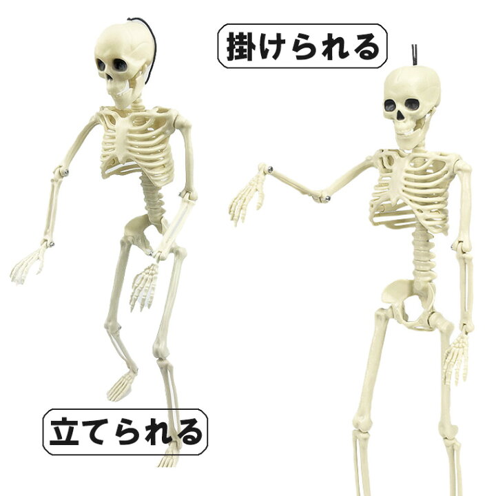 楽天市場】骸骨 ガイコツ スカル ドクロ 40cm ハロウィン 飾り 髑髏 