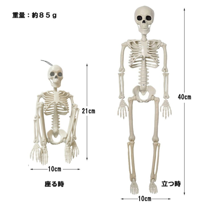 楽天市場】骸骨 ガイコツ スカル ドクロ 40cm ハロウィン 飾り 髑髏 