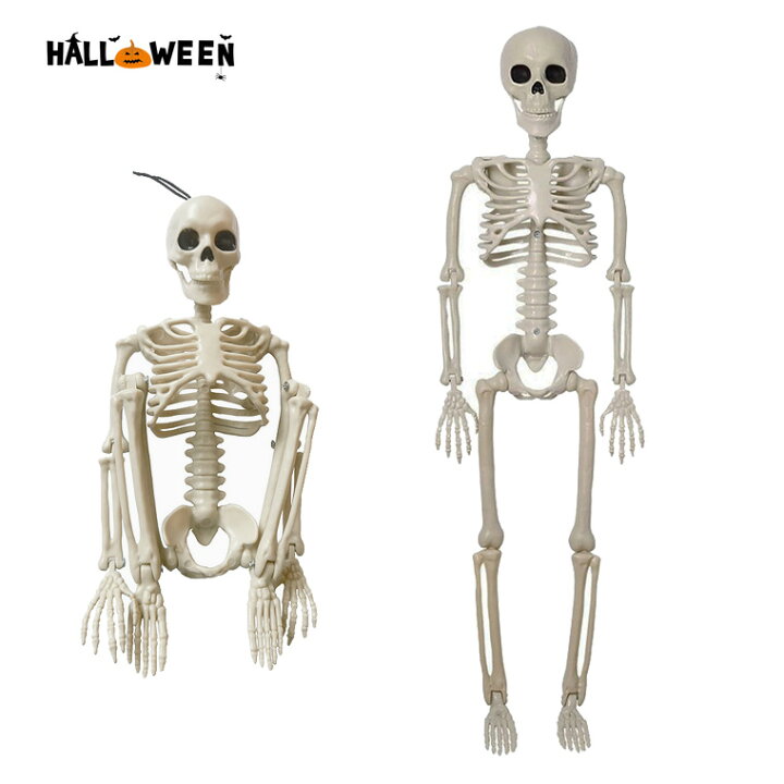 楽天市場】骸骨 ガイコツ スカル ドクロ 40cm ハロウィン 飾り 髑髏 