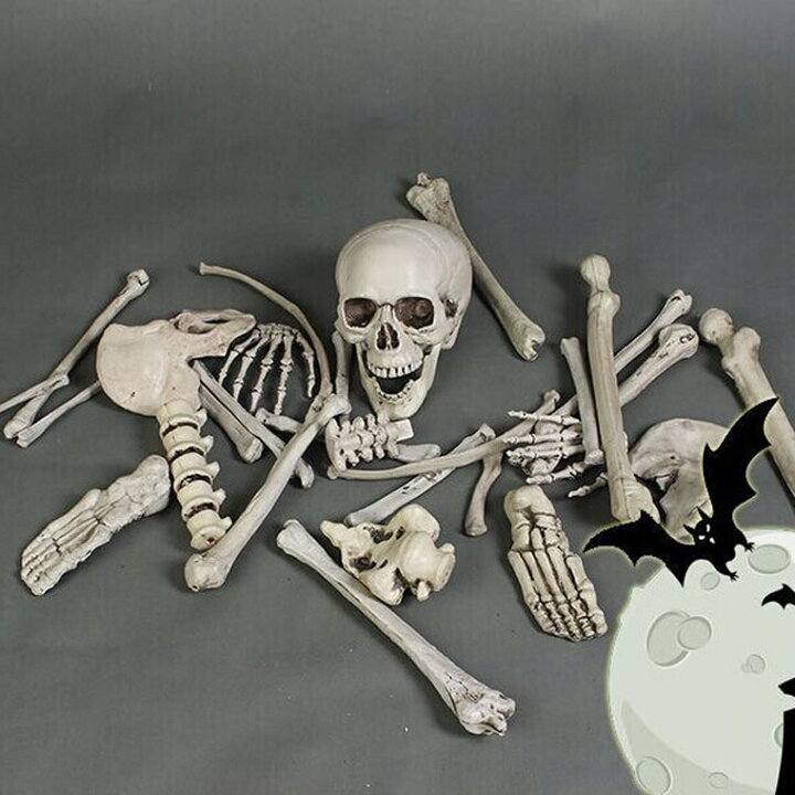 楽天市場】骸骨 28個セット スカル ドクロ ガイコツ ハロウィン 飾り 