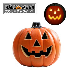 nEB ڂu  LED WbN I[ ^ ی^ 32cm×s24cm×30cm dr P3 Halloween JtF Xg ze  o[ i HX X  p[eB Cxg 