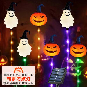 nEB  \[[ J{` &  Cg ۂ ߍ XebL 6{Zbg O h ^C}[ led K[fCg [d d 킢 `[t Cg NlR L 