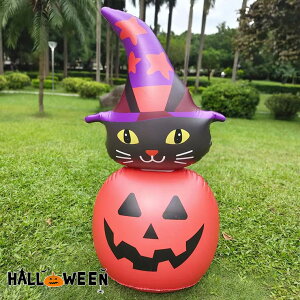 Ct[^u GA[fBXv  L ڂ pvL ݎ|vt ^ GA[ S[Xg o[  