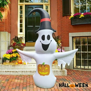 Ct[^u GA[fBXv  S[Xg ڂ pvL ݎ|vt ^ GA[ L o[  