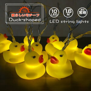 K[h Cg Aq dr 10 1.6m dF p C~l[V LED NX}X Xg[g Ђ d Cg t    c[ I[ig 