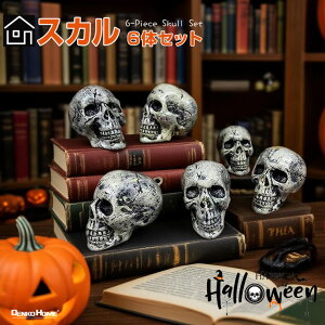 nEB XJ 6̃Zbg nEB  [ hN  CeA fBXvC u^ ݂艺 nEBIuWF  XPg  fR[V u `[t 