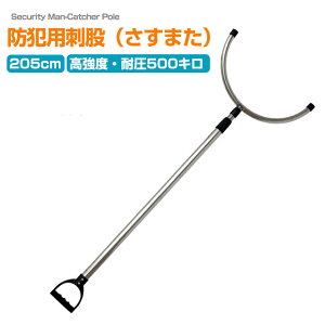 hƗp ܂ Lk XeX x h hƃ|[ g y TX}^  ψ500kg S205cm w h ˖_ N ΍ Qb 쏜 Lk^Cv h ObY