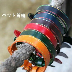  o U s ybgpi Pp  ߉\ y 킢 y PUU[ S Lp 