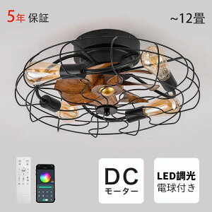 V[Ot@ V[Ot@Cg led Ɩ  T[L[^[ ȃGl Ɩ t@ Rt 6 12 ʒ t@Cg V[O VƖ rO V _