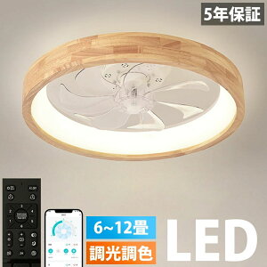 y2025ŐV^zV[Ot@ V[Ot@Cg t@t LED V[OCg Ebh ^ VR 8 10 12 Px VƖ Ɩ  F 铔 @\ ^C}[ 